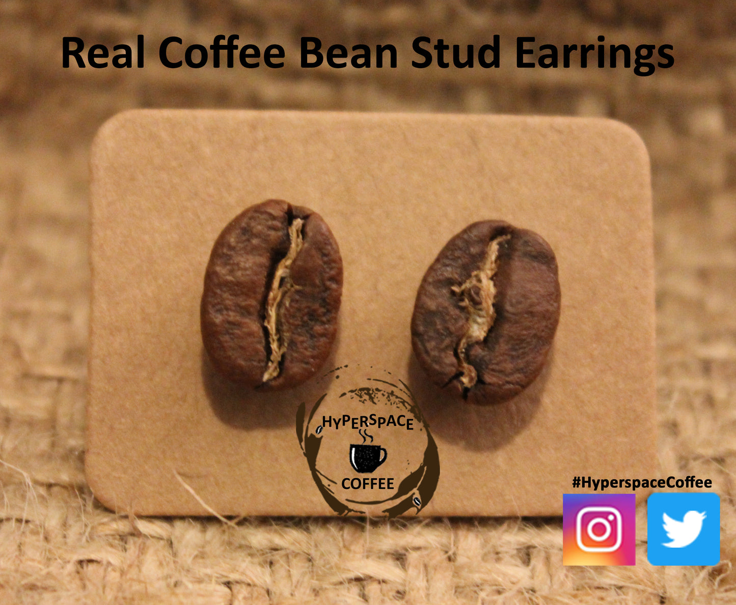Coffee Bean Earrings - Real Coffee Bean Stud Earrings - Coffee Lover Gift Coffee Gift Coffee Jewelry Coffee Earrings