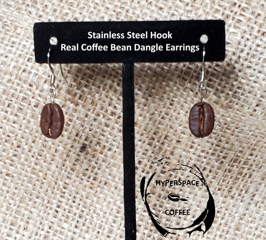 Silver Stainless Steel Hook Real Coffee Bean Dangle Earrings